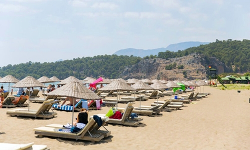 Turtle Beach & Mud Baths